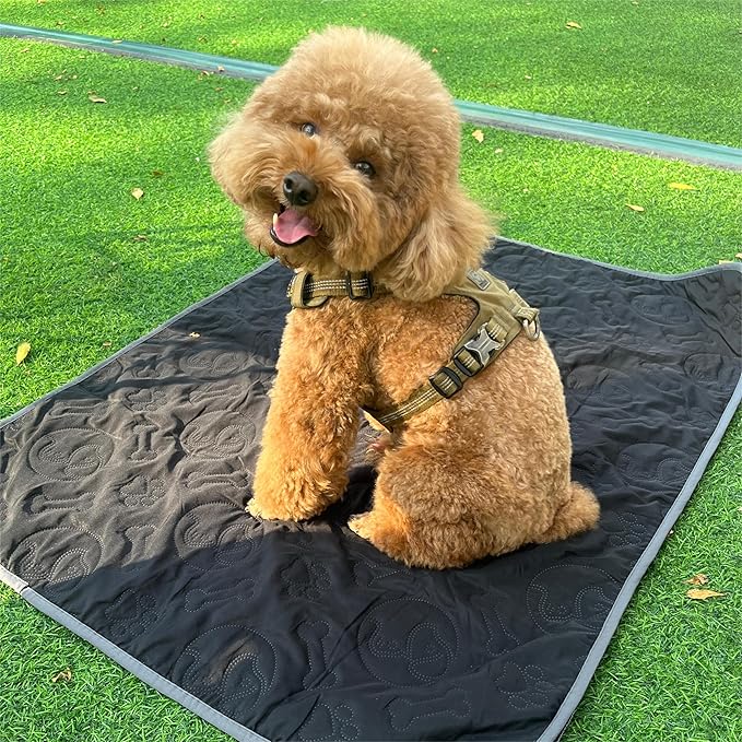 Kritter Planet Pack of 2 Waterproof Dog Bed Pad 30 x 40 inch