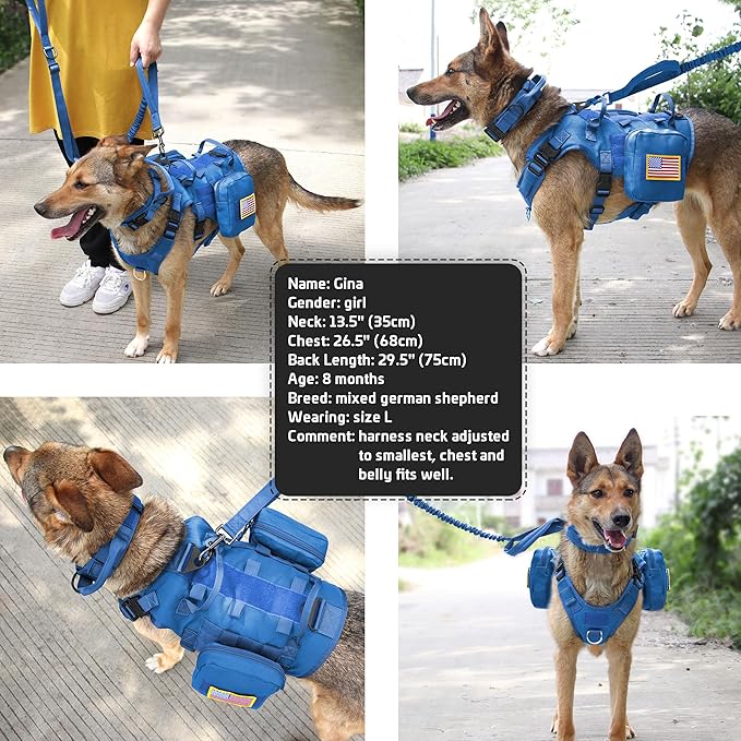 Forestpaw Tactical Dog Harness for Large Dogs