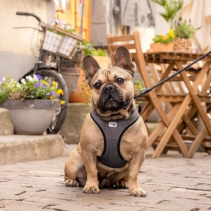 Vest Harness Merino curli Clasp Black L