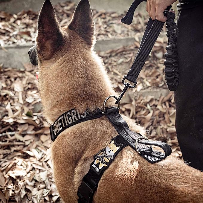 Dog Harness