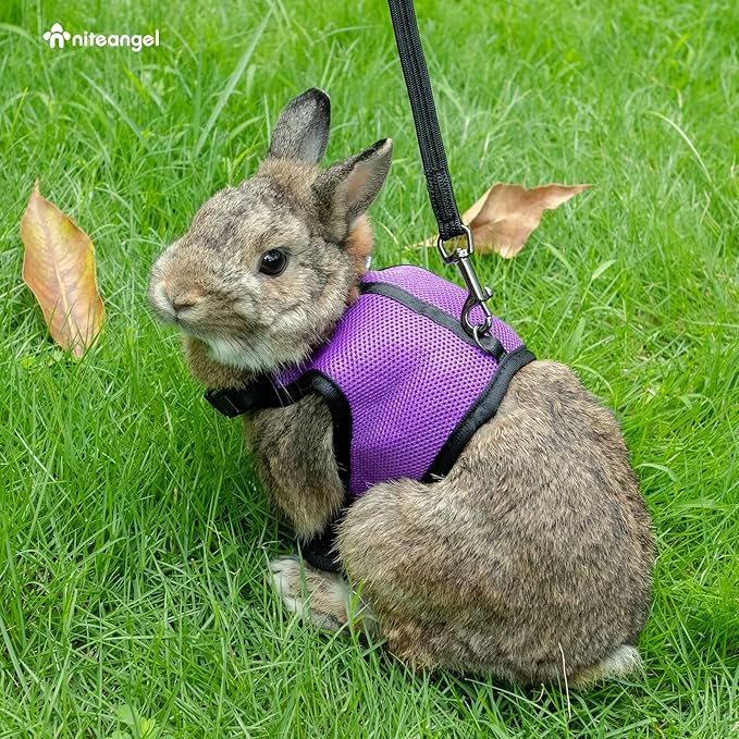 Niteangel Adjustable Soft Harness with Elastic Leash for Rabbits (M