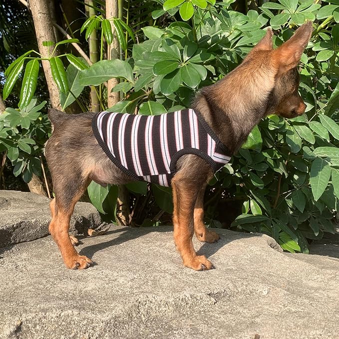 YQYS Dog Shirts Multi-color Striped Cotton Vest for Small Dogs and Cats Puppy Clothes Teacup Dog Clothing Tank Top for Chihuahua Miniature Pinscher Black Large