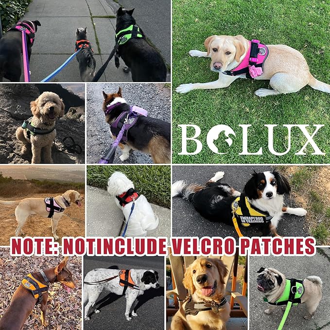 Bolux Dog Harness