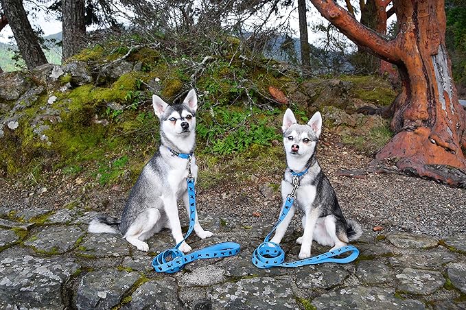 EcoBark Dog Leash 4 FT 5 FT 6 FT