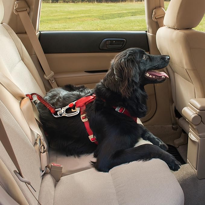 Kurgo Swivel Seatbelt Tether for Dogs