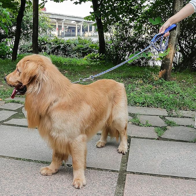 Dog Leash Chew Proof 5FT)