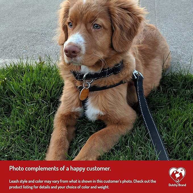 Ultra Strong Dog Car Tether