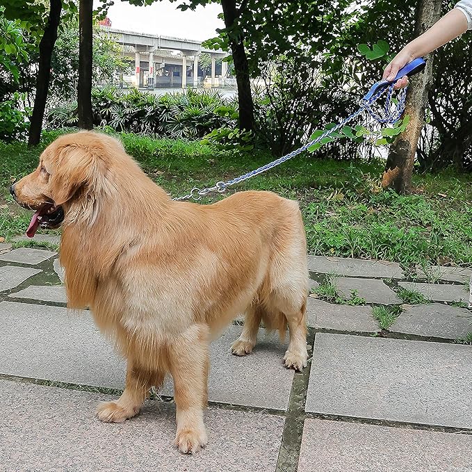 Chain Dog Leash Chew Proof Metal Leash for Medium Large Dogs 5.2FT Strong 3.0