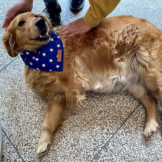 Realeaf 4th of July Dog Bandanas 2 Pack