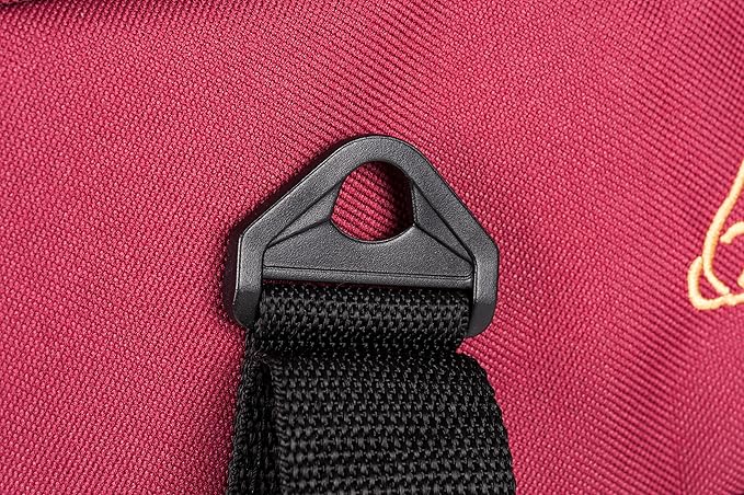 Soft-Sided Pet Carrier for Cat and Small Dog 2 Mesh