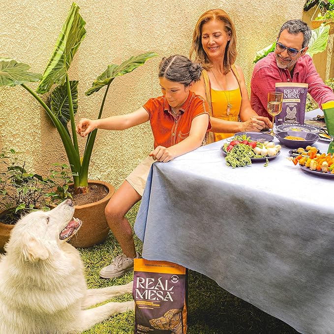 Real Mesa Premium Dry Dog Food - High Protein, Chef-Curated Adult Dog Nutrition, Mediterranean Chicken & Rice Entrée (18lbs)