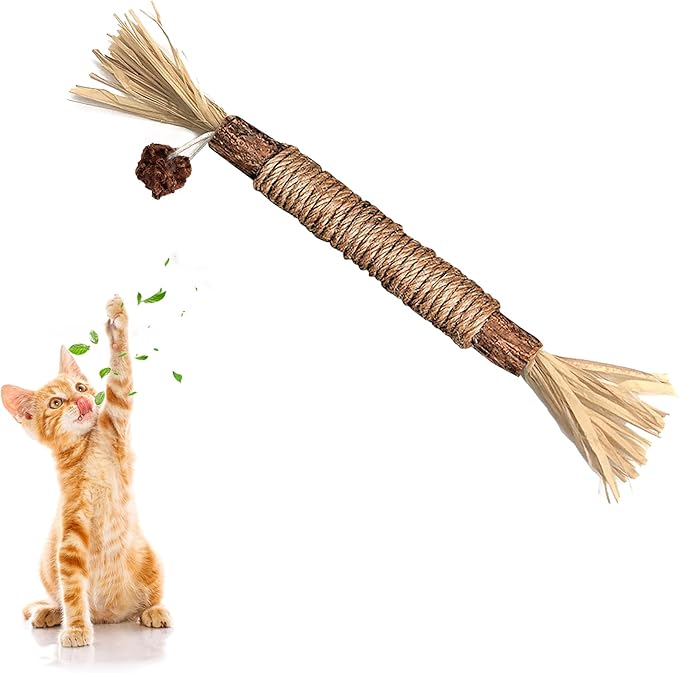 Catnip Toys