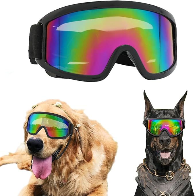 Pet Sunglasses