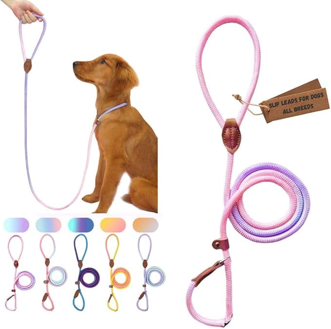 Pet Training Leashes