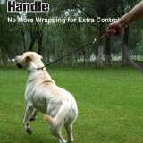 Aiyuda Tangle-Free Slip Lead for Dogs with Padded Traffic Handle 6ft Dog 40 LBS,