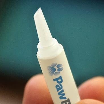 Instant Traction for Senior and Special Needs Dogs; Vet-Developed Paw Grip Kit to Reduce Slipping