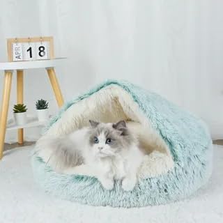Geizire Small Dog Bed & Cat Bed