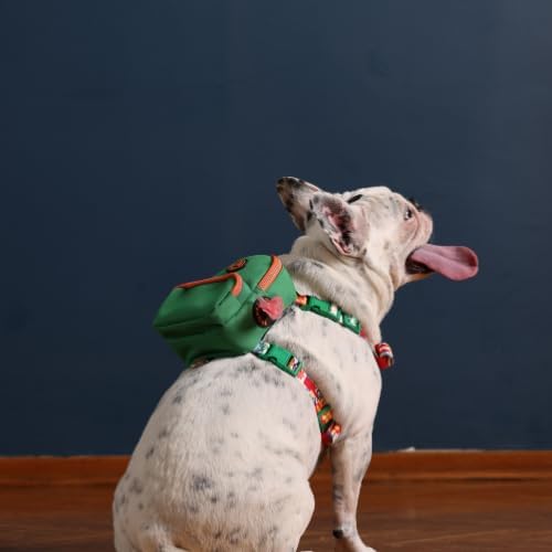 PawLook Dog Backpack Harness Dog Self Carrier Backpack-Poop Bag Dispenser Dog Backpack-Anti Slip Dog Backpack-Backpack for Dogs to Wear-Stylish Dogbagpack - GimmeFive Series 1 Piece (Green, M)