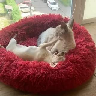 Geizire 24 inch Large Cat Bed Dog Bed for Cats Bed(24'', red)