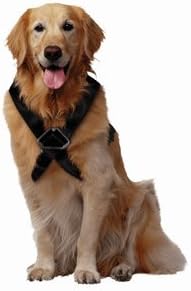 Travel Harness W/ Adjuster