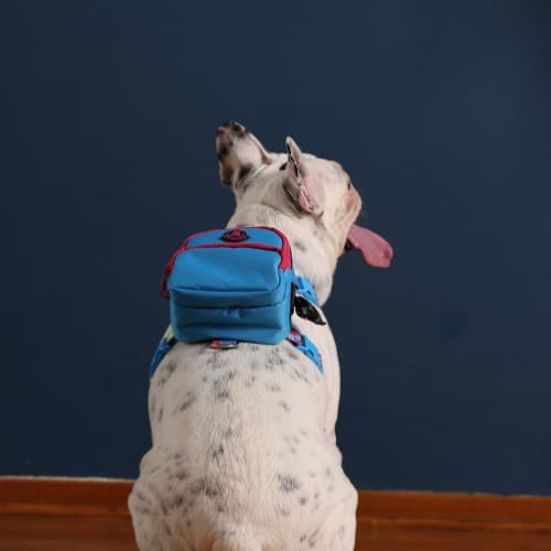 PawLook Dog Backpack Harness Dog Self Carrier Backpack-Poop Bag Dispenser Dog Backpack-Anti Slip Dog Backpack-Backpack for Dogs to Wear-Stylish Dogbagpack - GimmeFive Series 1 Piece (Blue, S)