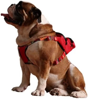 PawLook Dog Backpack Harness Dog Self Carrier Backpack-Poop Bag Dispenser Dog Backpack-Anti Slip Dog Backpack-Backpack for Dogs to Wear-Stylish Dogbagpack - GimmeFive Series 1 Piece (Red, M)