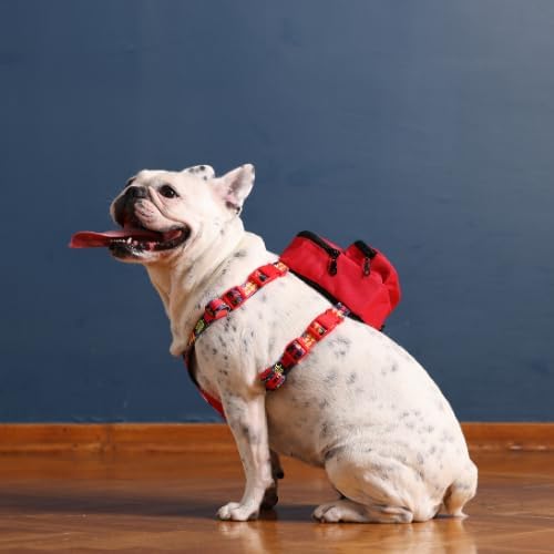 PawLook Dog Backpack Harness Dog Self Carrier Backpack-Poop Bag Dispenser Dog Backpack-Anti Slip Dog Backpack-Backpack for Dogs to Wear-Stylish Dogbagpack - GimmeFive Series 1 Piece (Red, M)