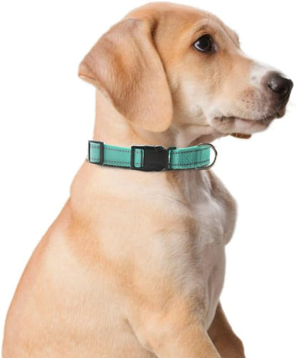 Reflective Dog Collar for Small
