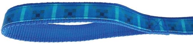 Graphic Leash for Dogs, Blue Ombre, Small/Medium