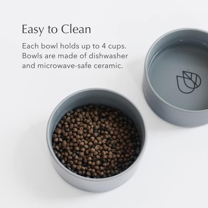 Dorai Home Dog Bowls + Stone Base Set – Modern and Stylish Pet Feeding Station – Non-Slip, Quick Drying Base with Diatomaceous Earth – Includes 2 Bowls and Base – Slate