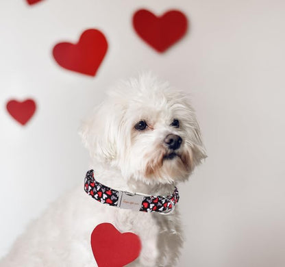 Unique Style Paws Valentine's Day Dog Collar Heart