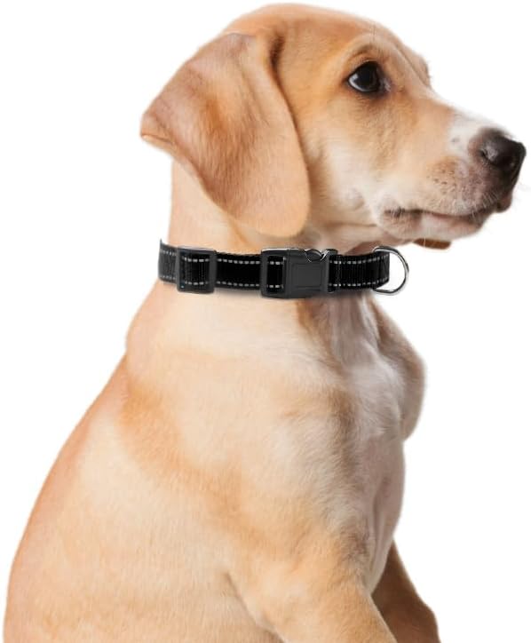 Reflective Dog Collar for Small