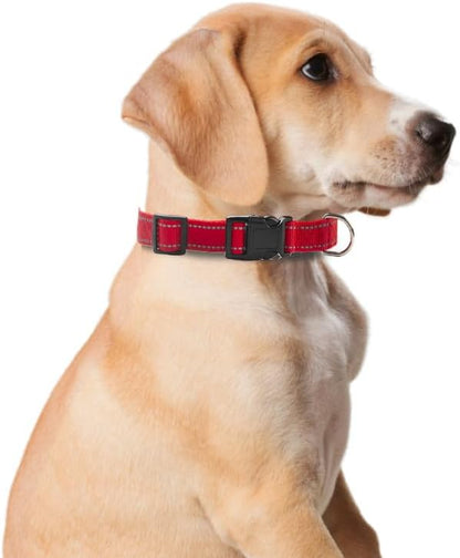 Reflective Dog Collar for Small