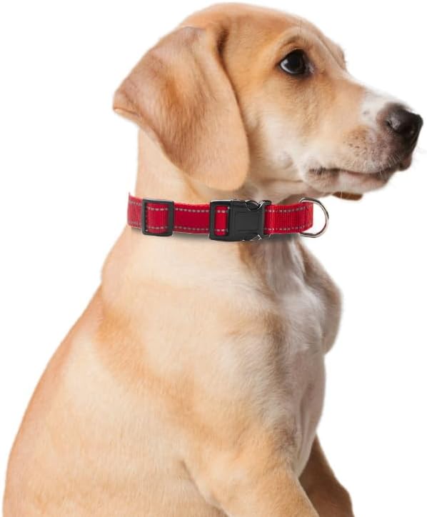 Reflective Dog Collar for Small