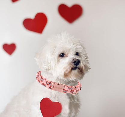 Unique Style Paws Valentine's Day Dog Collar Heart