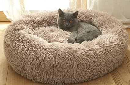 Geizire Cat Beds for Indoor Cats