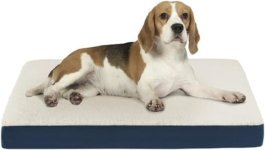 Friends Forever Orthopedic Dog Bed 30x20x3