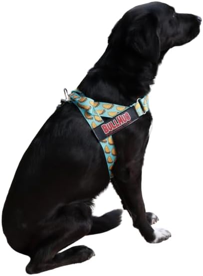 BULLHUG Harness – Made for Larger Chested Dogs Like English Bulldogs
