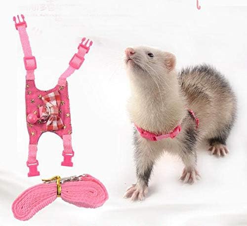 Small Animal Outdoor Walking Vest Harness and Leash Set with Cute Bowknot and Clear Bell Decor Chest Strap Harness for Bunny Ferret Guinea Pig Hamster Kitten Clothes Accessory (S)