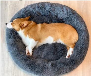 Geizire Dog Bed for Small and Medium Dogs