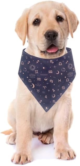 iPeti-Luxury Pet V Shaped Dog Bandanas -Premium & Silky Poly Fabric 100% Handmade