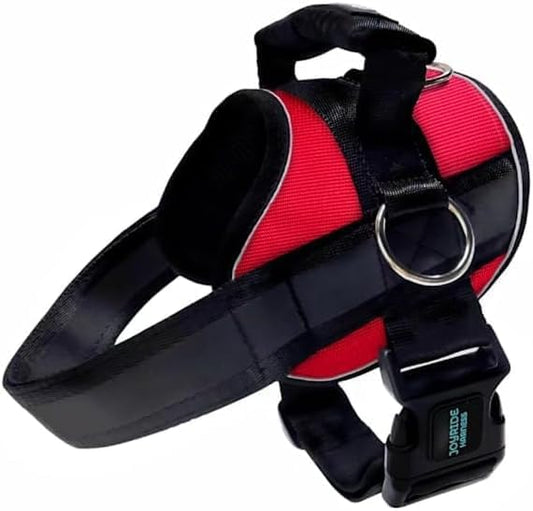 Joyride Harness 2.0 - The Original Side Ring No Pull Dog Harness - No Choke, Escape Proof, Reflective, 3 Leash Clips, Quick Fit Pet Vest - Easy Walks & Training - for Small, Medium & Large Dogs