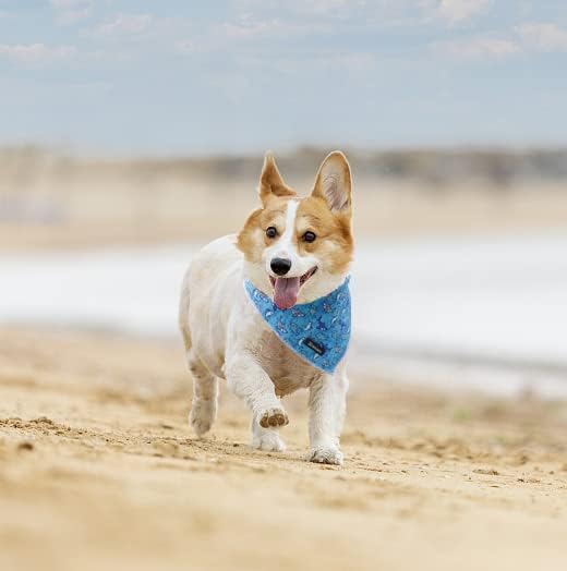 MACA Bates Blue Shark Dog Bandana Triangle Scarf Handkerchief Soft Cotton Cute Adjustable Puppy Bandanas Gift for Small Medium Large XL Pets