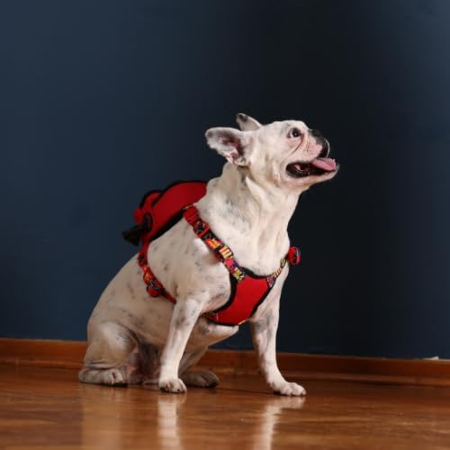 PawLook Dog Backpack Harness Dog Self Carrier Backpack-Poop Bag Dispenser Dog Backpack-Anti Slip Dog Backpack-Backpack for Dogs to Wear-Stylish Dogbagpack - GimmeFive Series 1 Piece (Red, M)