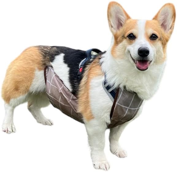 Waterproof Pet Dog Original Belly Vest Jacket Cover, Lightweight Breathable Outdoor Indoor - Clean & Dry in Rain Snow Mud (Grey Grid, L)