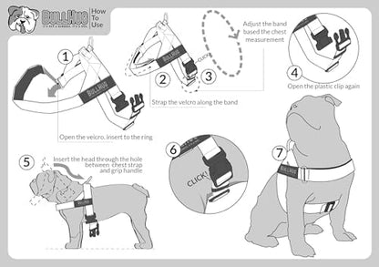 BULLHUG Harness – Made for Larger Chested Dogs Like English Bulldogs