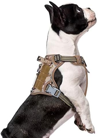 BUMBIN Tactical Dog Harness for Small Dogs No Pull, Famous TIK Tok No Pull Puppy Harness, Fit Smart Reflective Pet Walking Harness for Training, Adjustable Dog Vest Harness with Handle Desert Camo XS