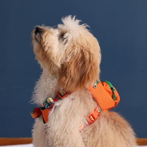 PawLook Dog Backpack Harness Dog Self Carrier Backpack-Poop Bag Dispenser Dog Backpack-Anti Slip Dog Backpack-Backpack for Dogs to Wear-Stylish Dogbagpack - GimmeFive Series 1 Piece (Orange, M)