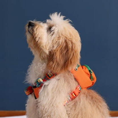 PawLook Dog Backpack Harness Dog Self Carrier Backpack-Poop Bag Dispenser Dog Backpack-Anti Slip Dog Backpack-Backpack for Dogs to Wear-Stylish Dogbagpack - GimmeFive Series 1 Piece (Orange, M)