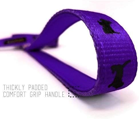 EcoBark Dog Leash - Soft & Reflective Comfort Training Leashes with Padded Handle - Strong Durable Heavy Duty - Training and Pulling for Small, Medium or Large Dogs (Purple)